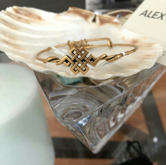 Alex and Ani Jewelry - Alex and Ani "Endless Knot" Bangle
